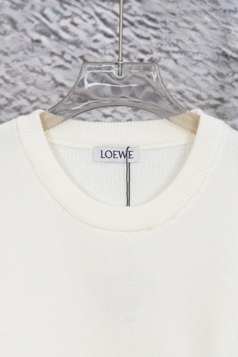 Loewe Hoodies